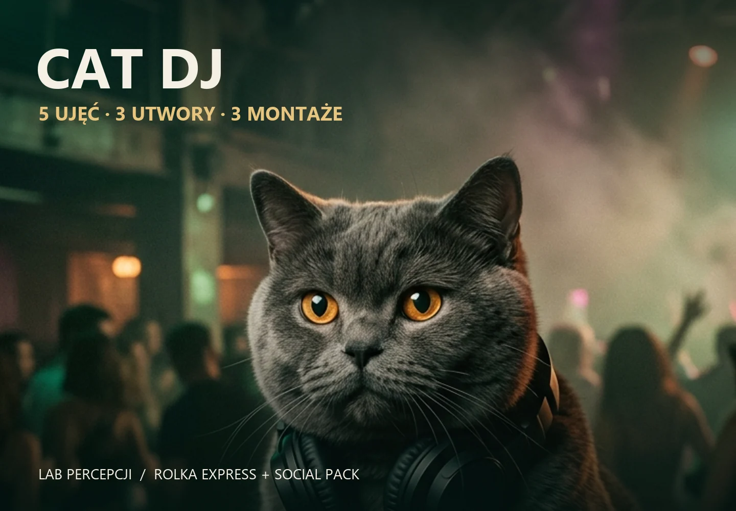 CAT DJ — pięć ujęć, trzy utwory i trzy montaże