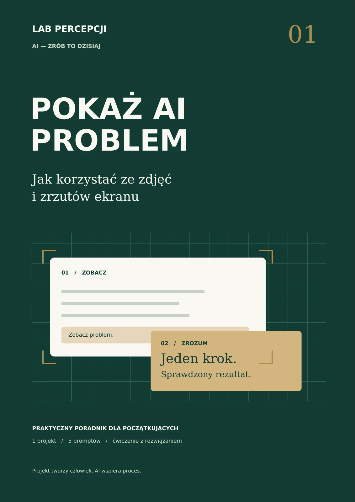 Okładka poradnika: POKAŻ AI PROBLEM